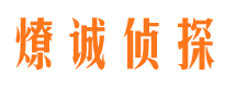 新城区市侦探调查公司